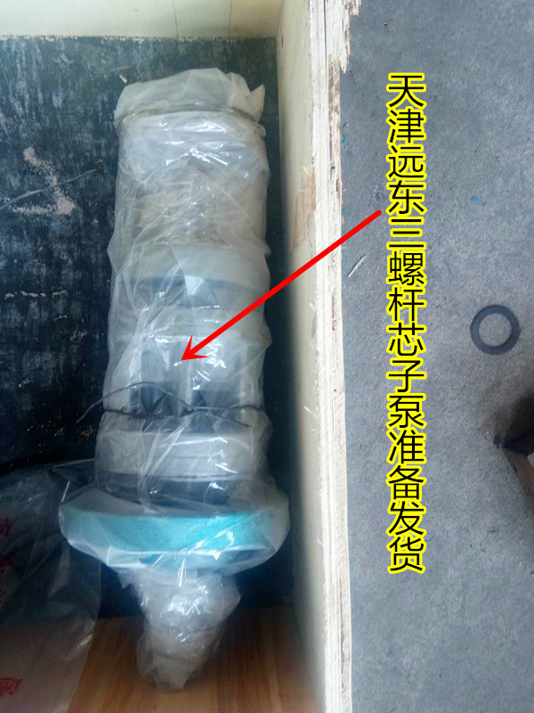津遠(yuǎn)三螺桿芯子泵